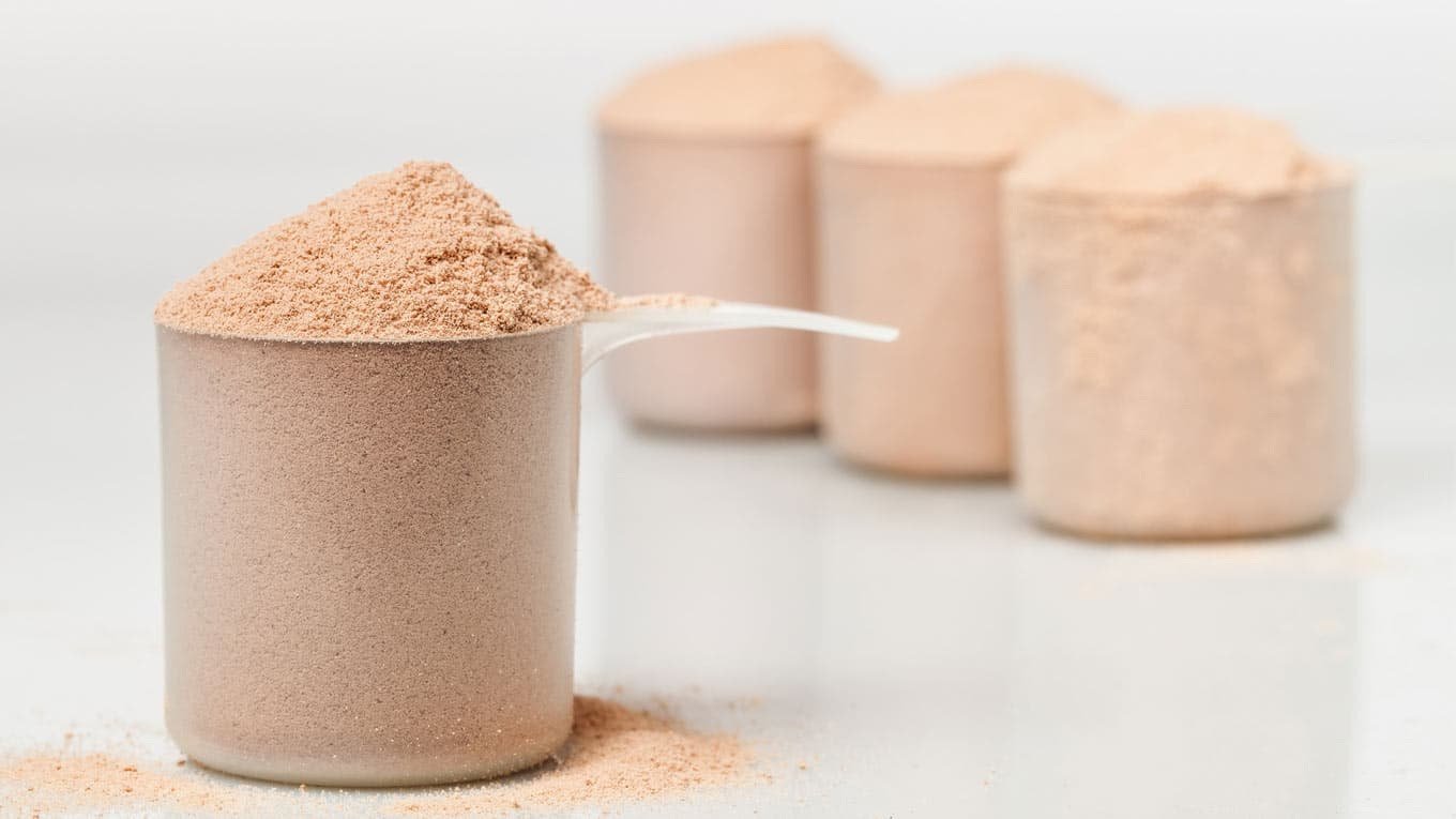 Odżywki białkowe i białko - kompendium wiedzy